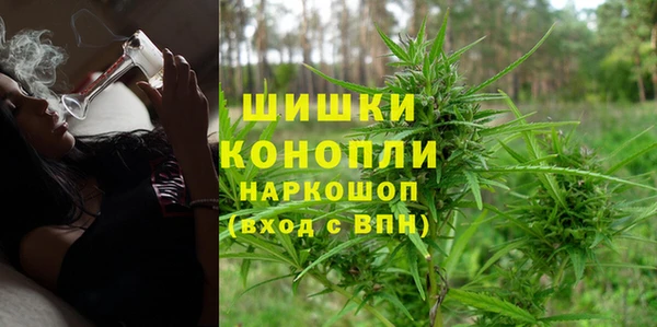 эйфоретик Новодвинск
