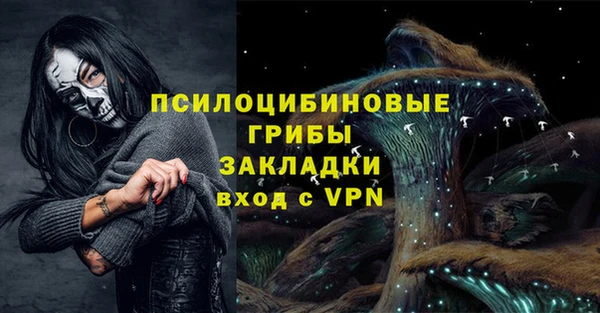 ALPHA-PVP Новозыбков