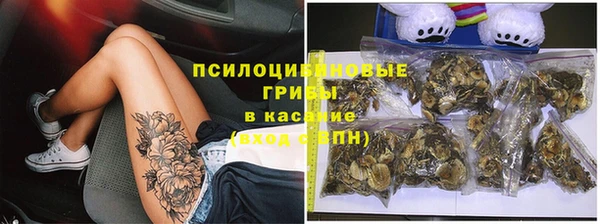 эйфоретик Новодвинск